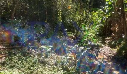 Terreno à venda na Avenida Celso Joaquim da Silva, 999, Sertão do Maruim, São José por R$ 20.000.000