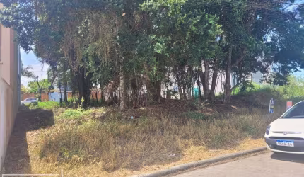 terreno pronto para construir em picarras