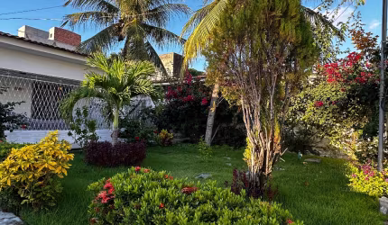Casa com piscina e jardim reformada