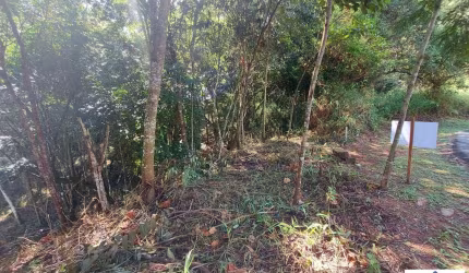 Lote em Condomínio Fechado para Venda em Nova Lima, Arvoredo