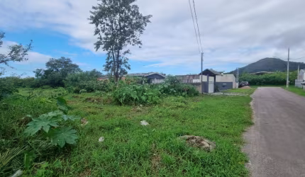 Amplo Terreno em rua asfaltada na região do Sertãozinho.