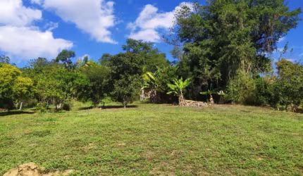 Terreno comercial à venda na Rua Governador Jorge Lacerda, Velha Central, Blumenau por R$ 550.000