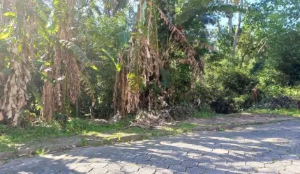 Terreno à venda na Rua Emílio Buerger, Fidélis, Blumenau por R$ 750.000