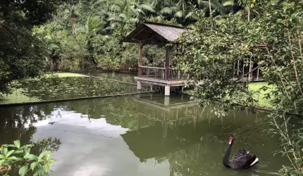 Chácara / sítio com 3 quartos à venda na Rua Minas da Prata, 1073, Progresso, Blumenau, 160 m2 por R$ 2.500.000