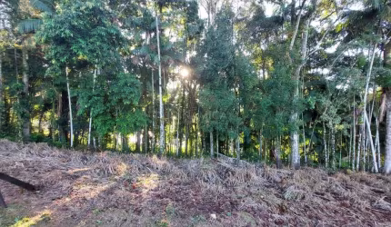 Terreno à venda na Rua Arnoldo Lübke, 09, Velha, Blumenau por R$ 449.000
