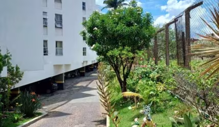 Apartamento para Venda em Belo Horizonte, Itapoã, 2 dormitórios, 1 banheiro, 1 vaga
