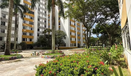 Imbuí apartamento 3/4