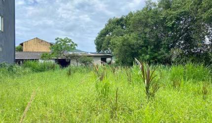 Terreno à venda, 450 m² por R$ 689.000,00 - Cachoeira do Bom Jesus - Florianópolis/SC