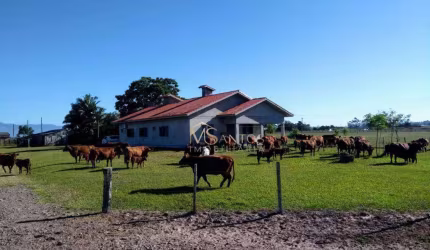 Fazenda à venda, 3300000 m² por R$ 30.000.000,00 - Três Coqueiros - São João do Sul/SC