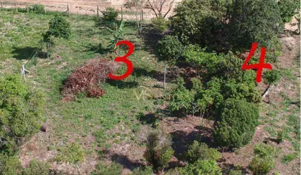 Terreno à venda, 353 m² por R$ 340.000,00 - São João do Rio Vermelho - Florianópolis/SC