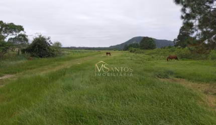Terreno à venda, 48230 m² por R$ 12.850.000,00 - São João do Rio Vermelho - Florianópolis/SC