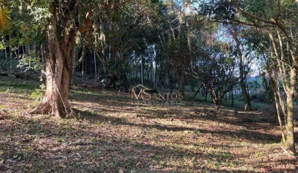 Terreno à venda, 4600 m² por R$ 2.200.000,00 - Ratones - Florianópolis/SC