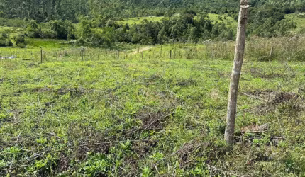 Terreno à venda, 3102 m² por R$ 250.000,00 - Interior  - Imaruí/SC