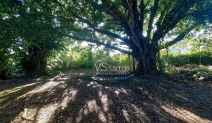 Terreno à venda, 1583 m² por R$ 1.950.000,00 - Cachoeira do Bom Jesus - Florianópolis/SC