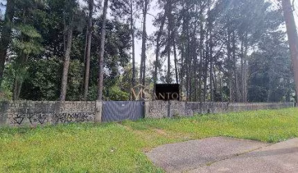 Terreno à venda, 33044 m² por R$ 21.200.000,00 - Vargem Grande - Florianópolis/SC