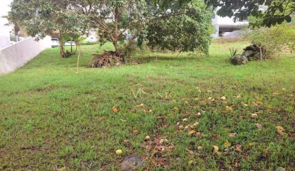 Terreno à venda, 452 m² por R$ 1.380.000,00 - Santo Antônio de Lisboa - Florianópolis/SC