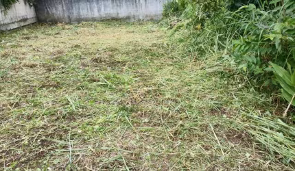 Terreno à venda, 184 m² por R$ 275.000,00 - Ponta das Canas - Florianópolis/SC