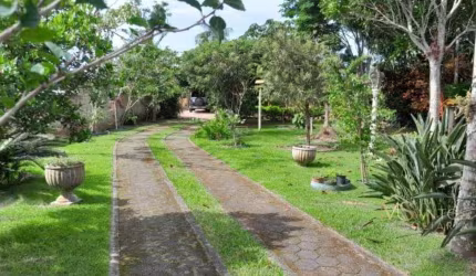 Sítio com casa de 2 dormitórios à venda, 4000 m² por R$ 1.800.000 - Ratones - Florianópolis/SC