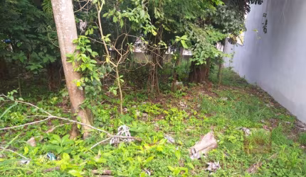 Terreno  à Venda em Chácara Monte Alegre  -  São Paulo