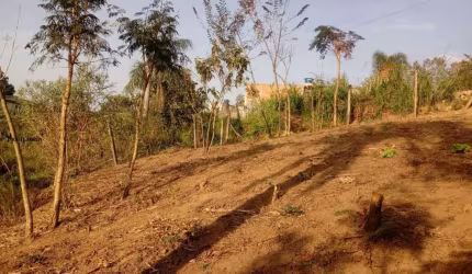 Terreno para Venda em Santana de Parnaíba, Jardim Clementino (Fazendinha)