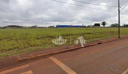 Terreno para alugar, 7000 m² - Ouro Branco - Londrina/PR