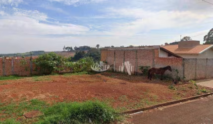 Terreno à venda, 371 m² por R$ 130.000,00 - Cidade Nova III - Rolândia/PR