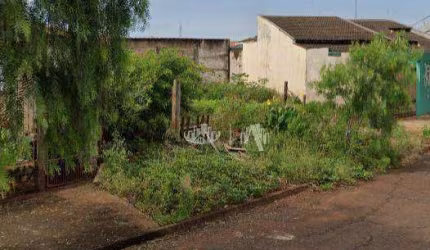 Terreno à venda, 294 m² por R$ 230.000,00 - Jardim das Palmeiras - Londrina/PR