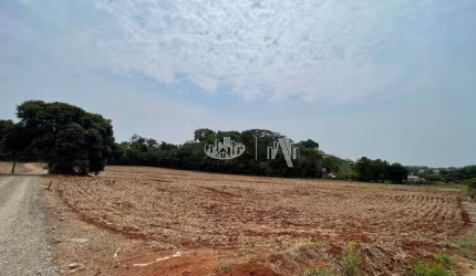 Área à venda, 51000 m² por R$ 5.100.000,00 - Recanto do Salto - Londrina/PR