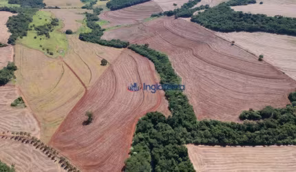 Sítio à venda, 452540 m² por R$ 6.000.000,00 - Rodovia - Sertanópolis/PR