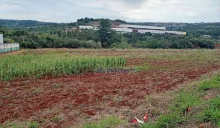 Área à venda, 26467 m² por R$ 5.800.000,00 - Industrial - Londrina/PR