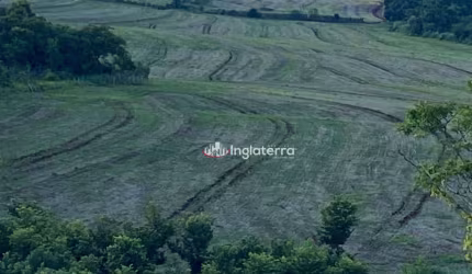 Sítio à venda, 653400 m² por R$ 4.900.000,00 - Zona Rural - Assaí/PR