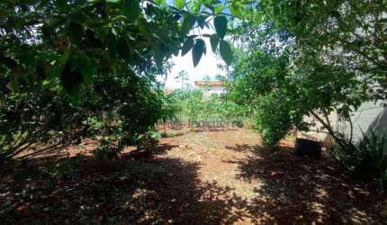 Terreno à venda, 250 m² por R$ 130.000,00 - Jardim Maria Celina - Londrina/PR