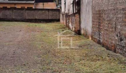 Terreno para alugar, 581 m² por R$ 6.500,00/mês - Centro - Londrina/PR