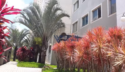 Apartamento à venda, 48 m² por R$ 318.000,00 - Palmeiras de São José - São José dos Campos/SP