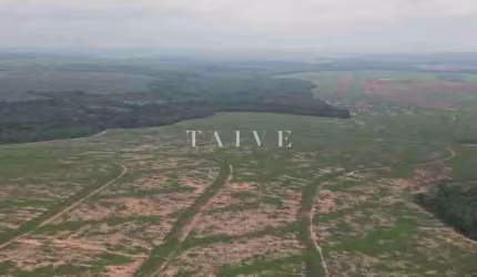 Fazenda 3000 hectares à venda , área plana, casa sede, barracão, poço artesiano, internet e 63 km d