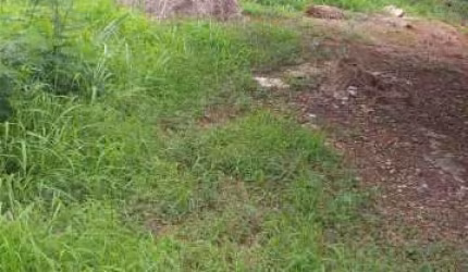 Terreno à venda na Rua Reverência, Curicica, Rio de Janeiro, 360 m2 por R$ 1.000.000