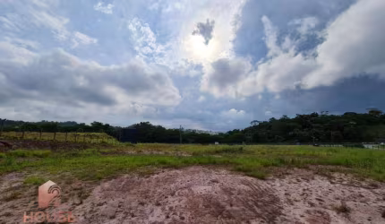 Terreno à venda, 5652 m² por R$ 4.100.000,00 - Fazenda Capelinha - Mogi das Cruzes/SP