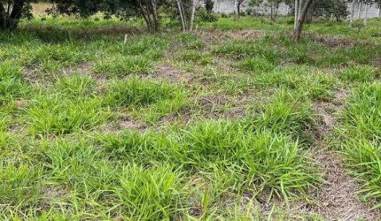 Terreno à venda, 1172 m² por R$ 430.000,00 - Condomínio Reserva Ibirapitanga - Santa Isabel/SP