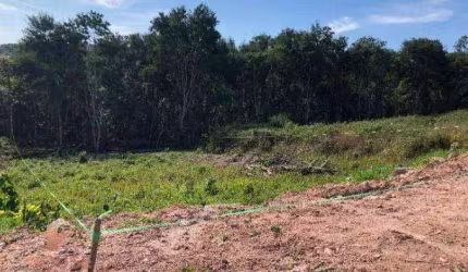 Terreno à venda, 1036 m² por R$ 450.000,00 - Condomínio Reserva Ibirapitanga - Santa Isabel/SP