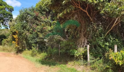 VENDO Fazenda em Cascavel com 171 hectares