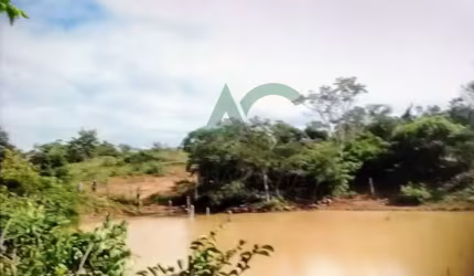 VENDO FAZENDA em PALMEIRAS, região da Chapada Diamantina com 250 hectares