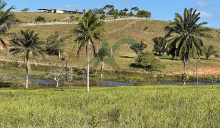 VENDO Fazenda em Araçás  790 tarefas