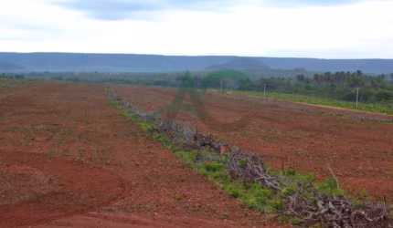 VENDO FAZENDA próximo à Batavo no MARANHÃO com 2.200 hectares