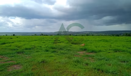 VENDO FAZENDA próxima a Feira Nova do MARANHÃO com 7.000 hectares