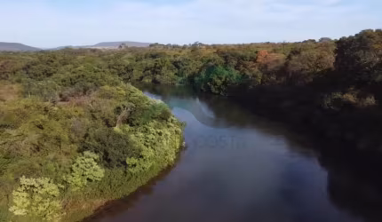 VENDO FAZENDA em Feira da Mata - BAHIA com 7.558 hectares