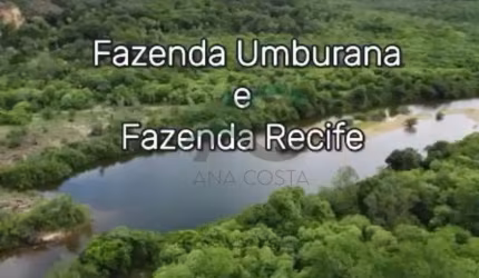 VENDO FAZENDA em Castelo do PIAUÍ com 12.372 hectares