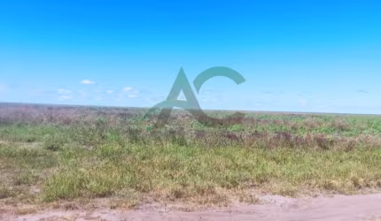 ARRENDO OU VENDO Fazenda em Uruçui no PIAUÍ com 14.000 hectares