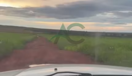 VENDO FAZENDA em Balsas no MARANHÃO com 4637 hectares