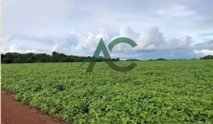 VENDO FAZENDA em Confresa no MATO GROSSO com 39.241 hectares