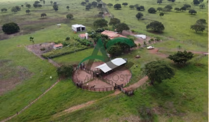 VENDO FAZENDA  em Araguacema no TOCANTINS com 98 Alqueires